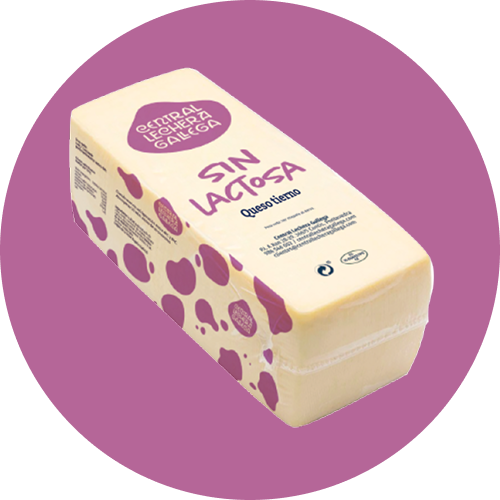 Queso sin lactosa